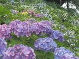 20180610140437.jpg