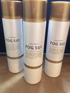 fogggggggggg.JPG