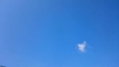 DSC_0238.JPG