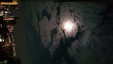 DSC_0517.JPG