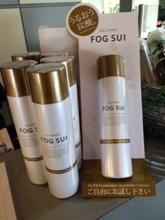 fogsui.JPG